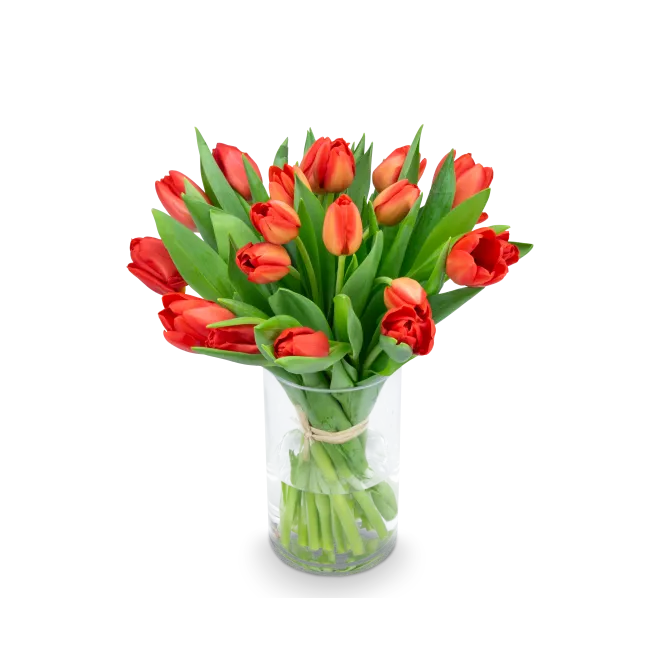 Bouquet of red tulips